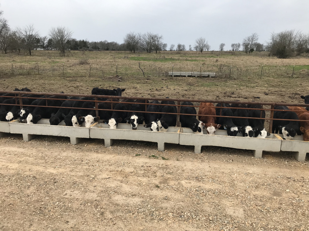 BB4571D9-51B2-4630-AD8D-911C6AB195ED