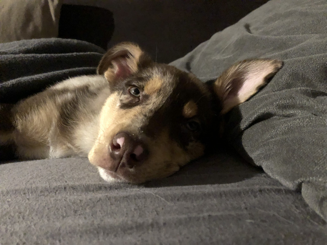 594507D9-C85C-4BC2-BB59-262C34F214B5