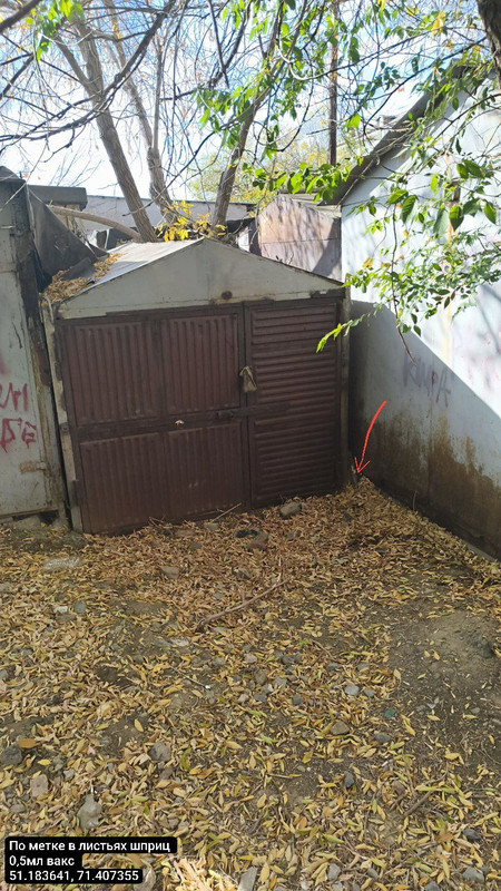 IMG_20250927_144849_340