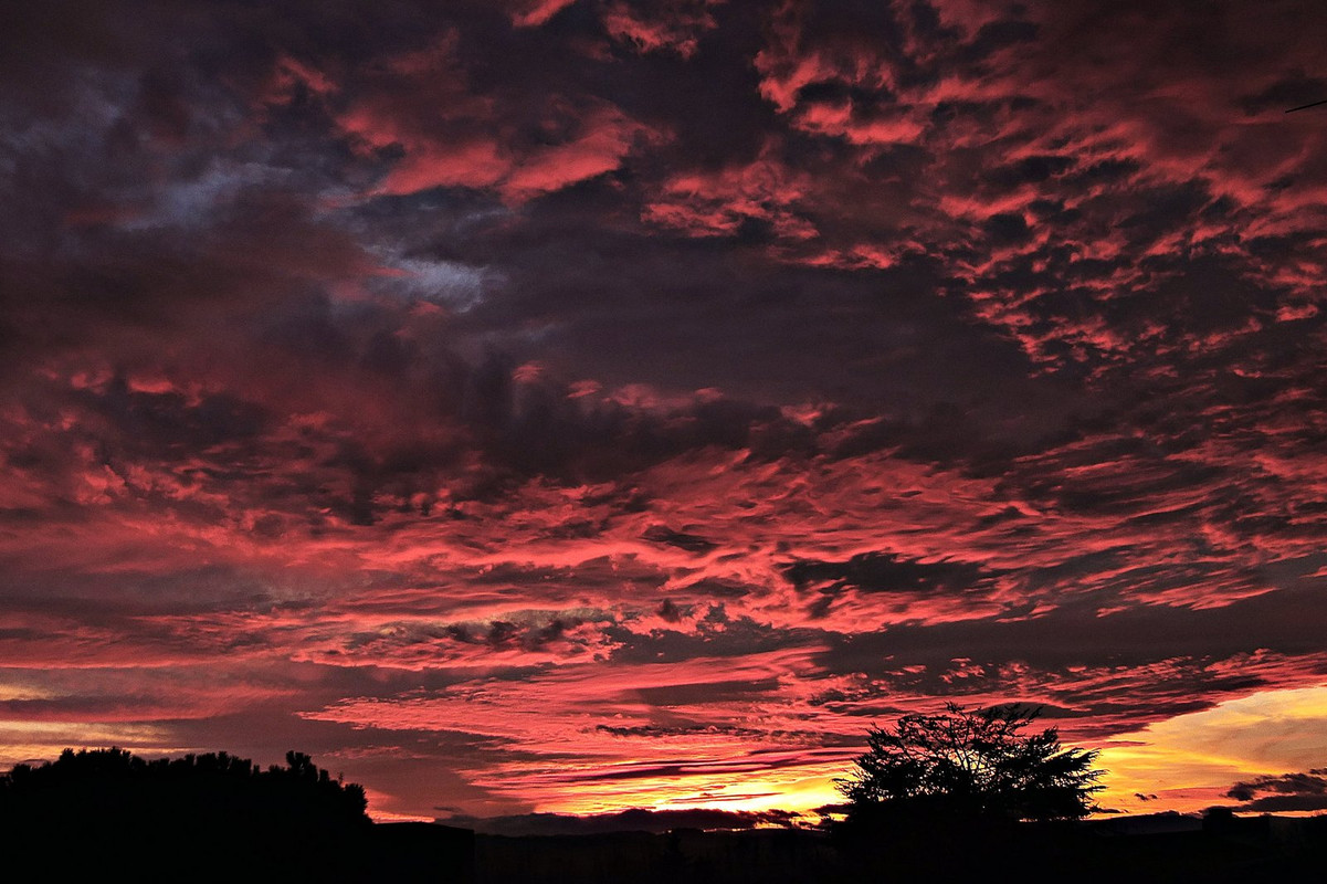 magenta-sky.jpg