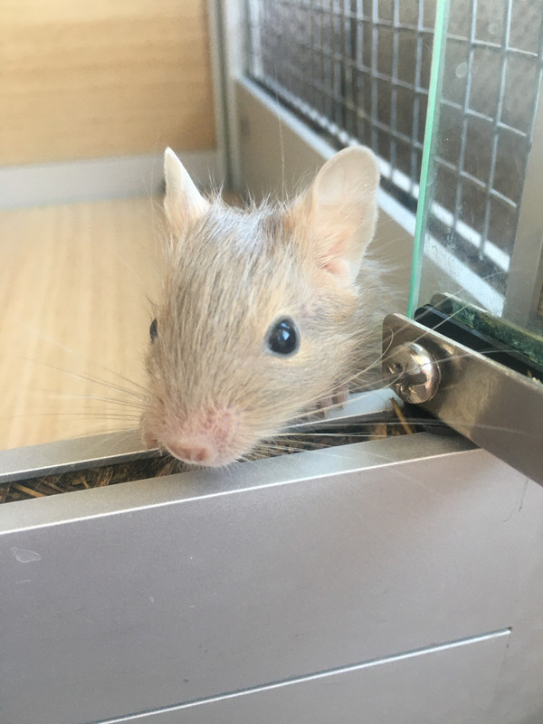 0284CE07-1D05-49B2-81B2-A28083AB1027