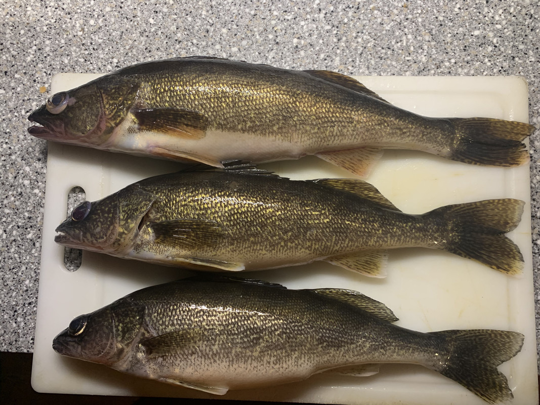 830452C9-D52E-43BE-84B1-8BEFA1FFB9F1