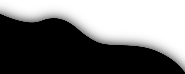 black 41