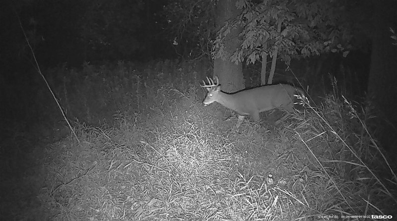 89E444B5-0C87-40AD-8E9C-0ED5236C64DF