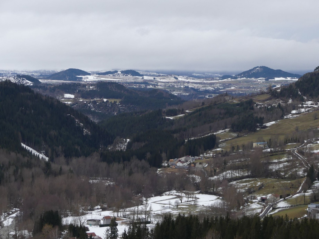 P1100264.jpg