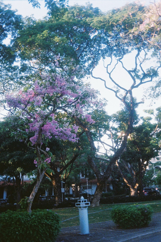 Kodak-UMHF-110-resize