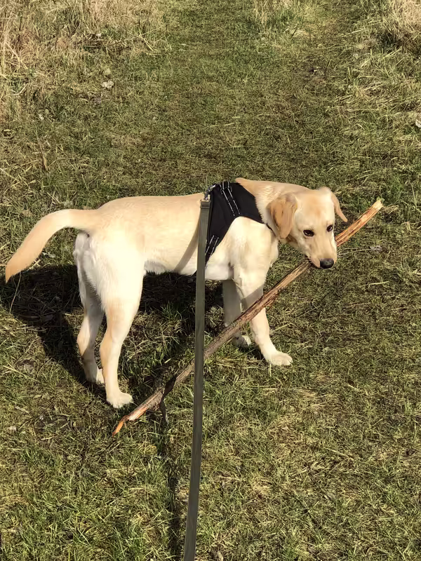 9EEEA572-8B77-4017-9876-B43D168D6C0F