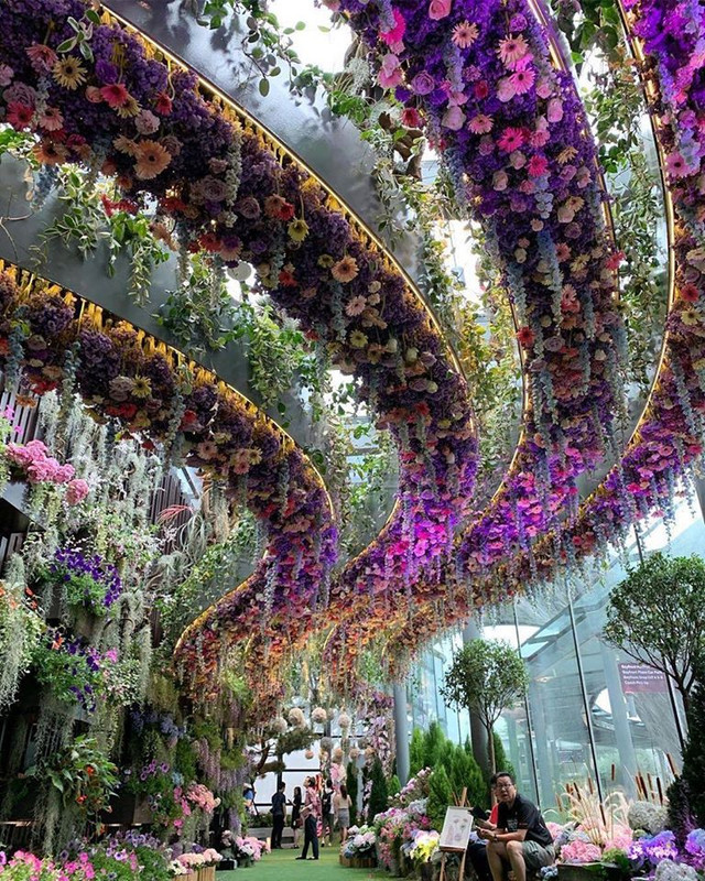 purpleflowers-singapore.jpg