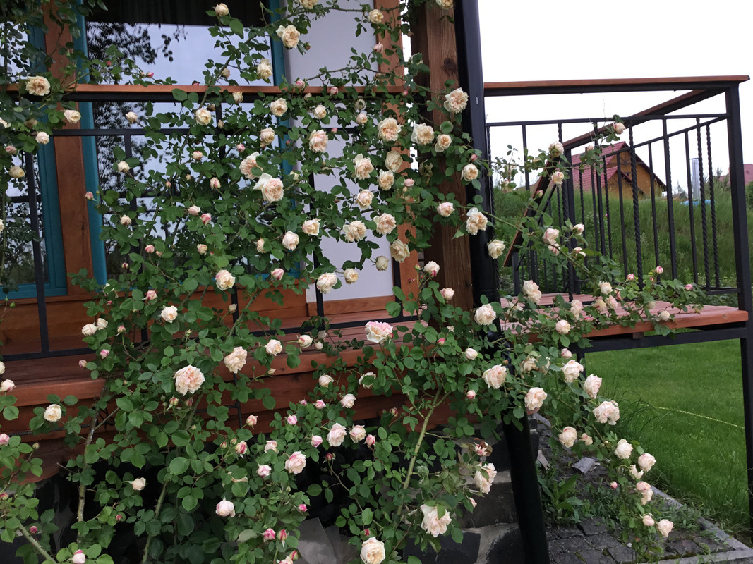 16F9387F-C20A-4507-A12D-5492C7C1E6EB