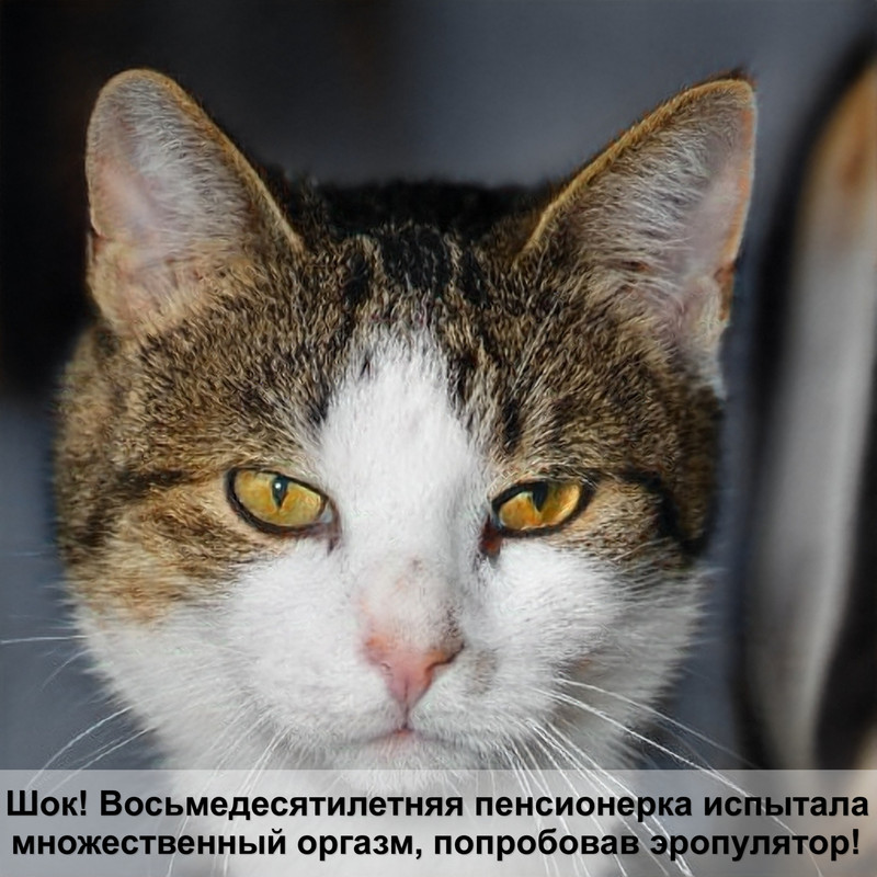 сера для шерсти кошек