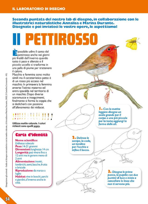 Foc Wil - Dic 2023 (9)