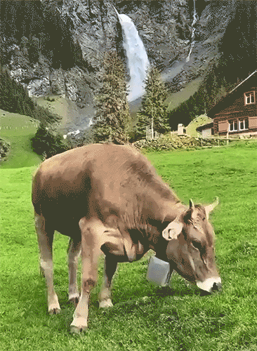 Suiza-3