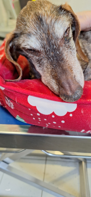 [Image: 20250606-164848.jpg]