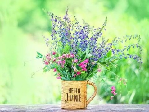 June-Hello-Cup-of-Flowers