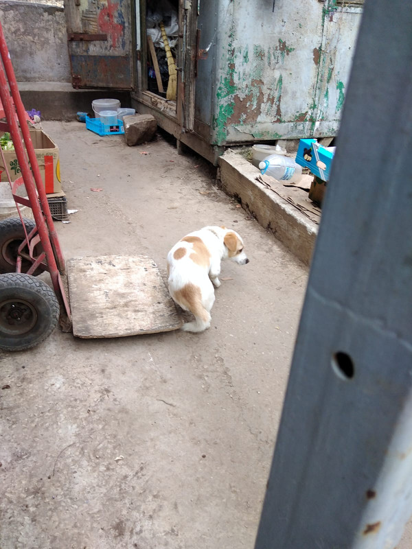 изображение_viber_2023-04-08_17-22-46-712