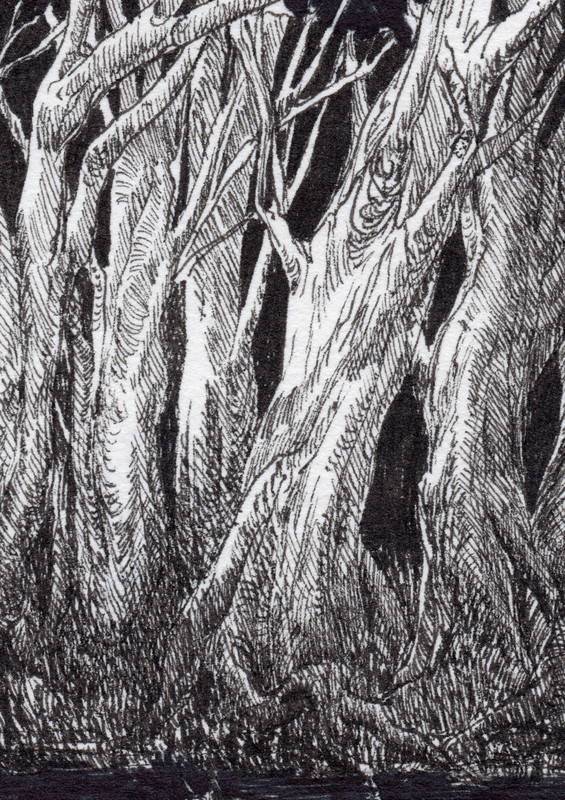 6 la bsuqueda termino