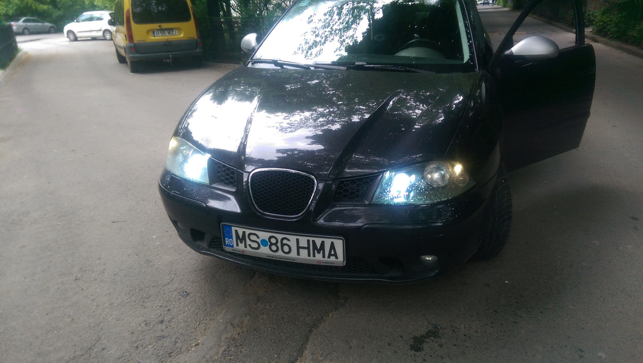 IMAG4210