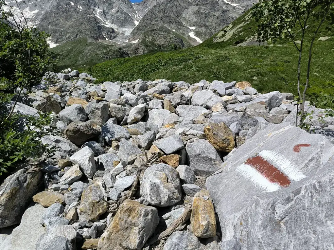 img_11_1721655076495