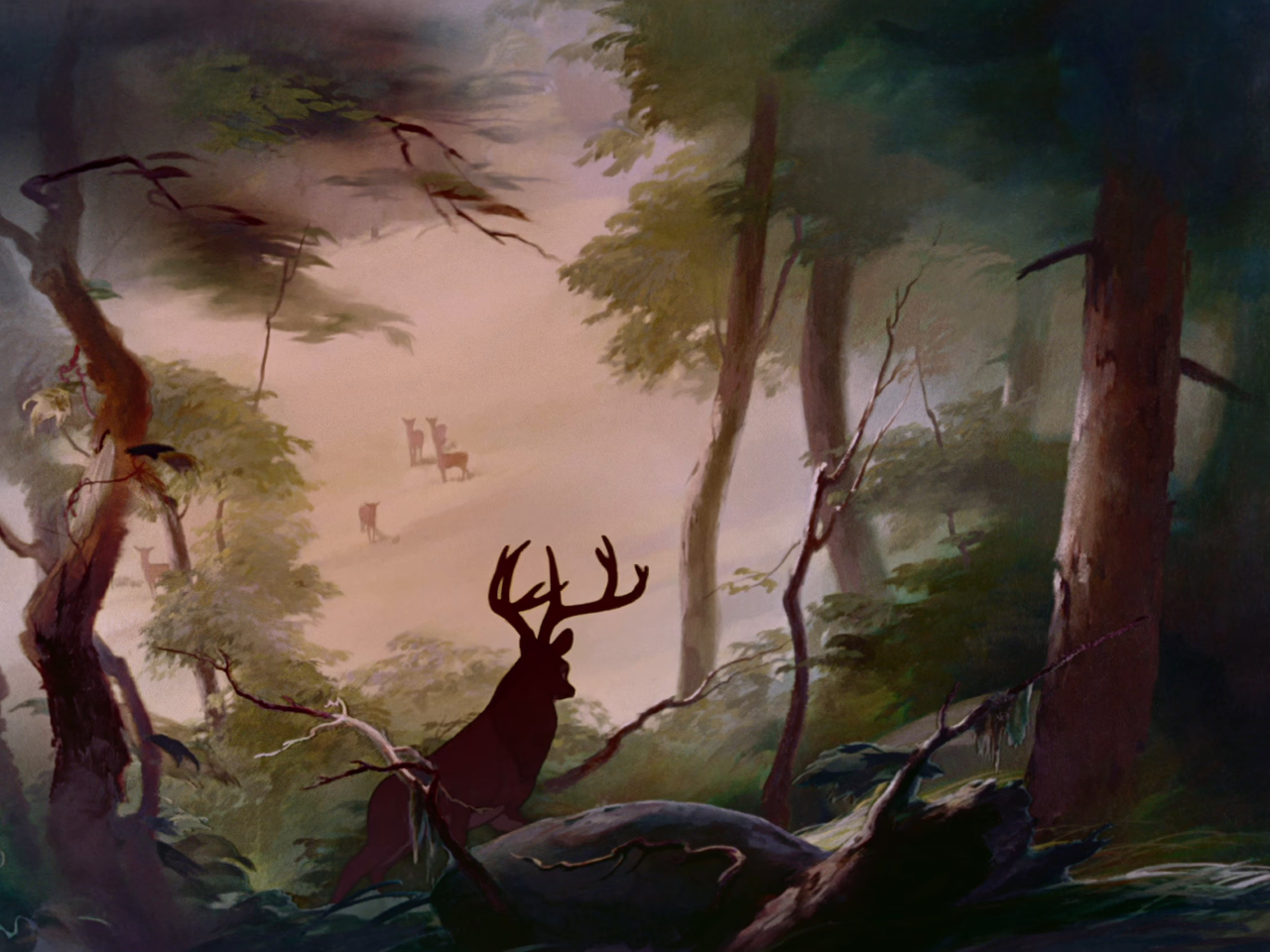Movie cover image
