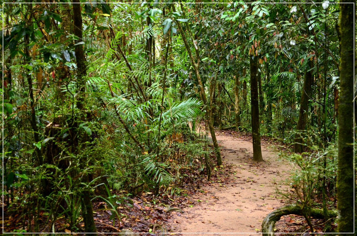 Prólogo: una semana en Port Douglas (octubre 2013) - Australia (I): toma de contacto (11)