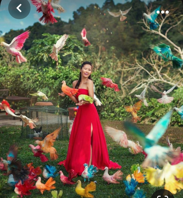 Screenshot_20231012_144404_Pinterest