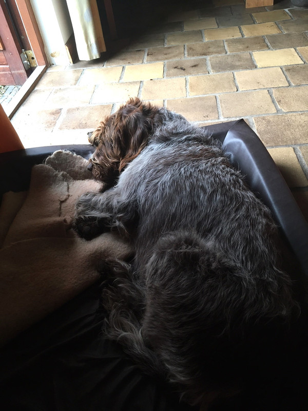 2024-29-06 Slapen met een dekentje IMG_3831 (002)