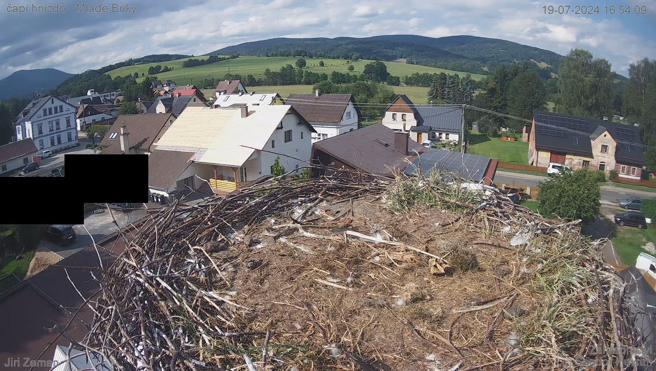 Tiešraides kamera — Mladé Buky — stārķa ligzda 12-13-57 screenshot