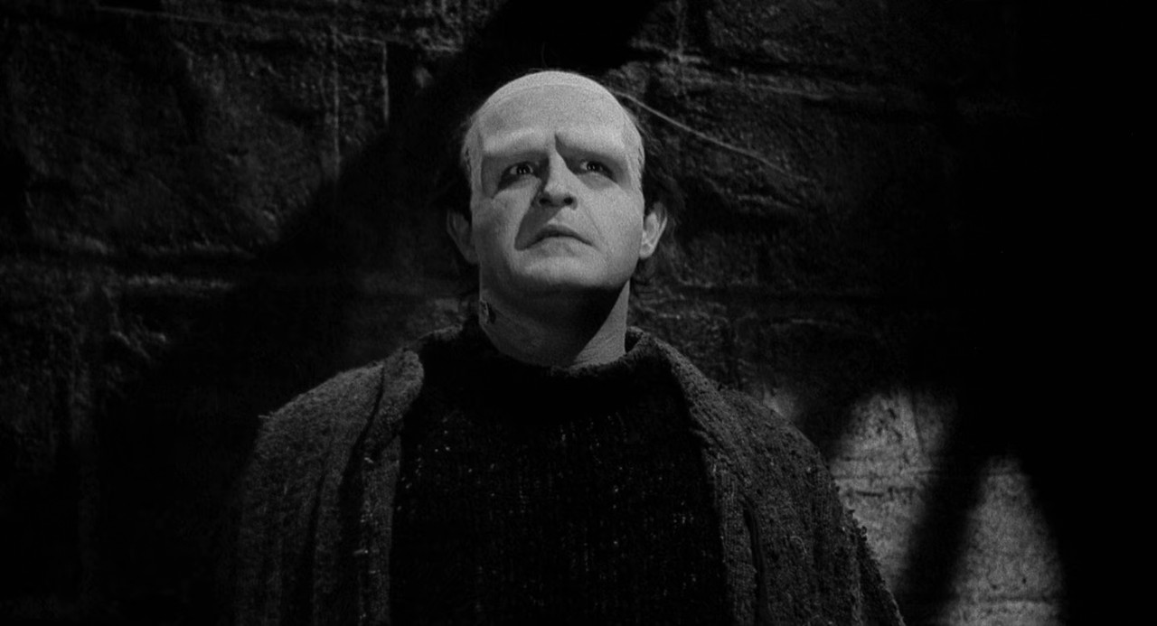 Young Frankenstein 1974 (1080p x265 10bit Tigole