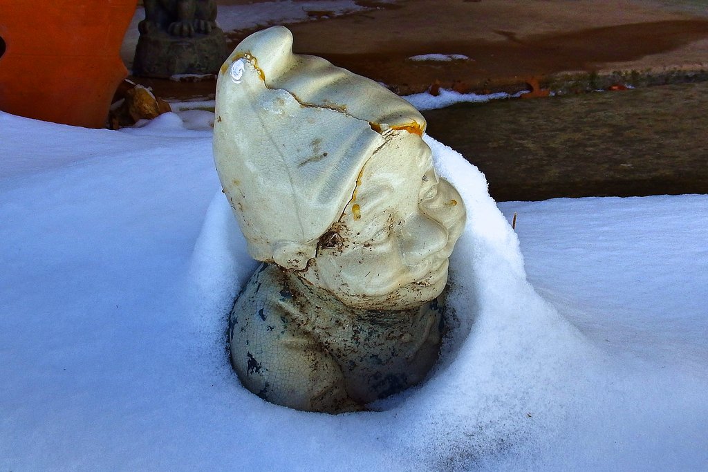 IMAGE: https://i.postimg.cc/DysZpfmH/S-A-Snow2021-gnome-3.jpg