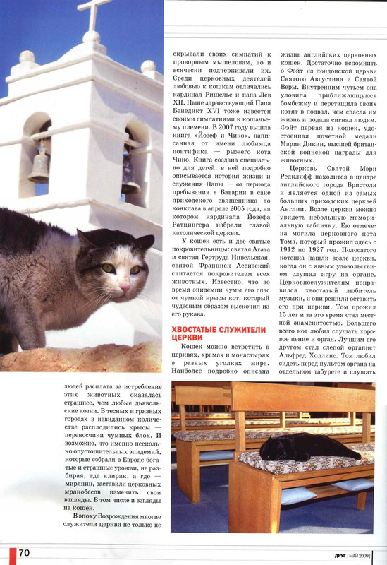 Друг кошек № 5 2009-65