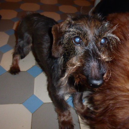 [Image: P1050813.jpg]