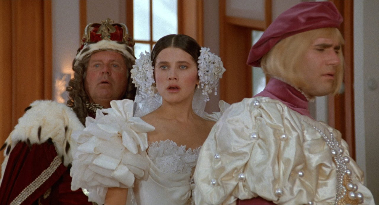 Spaceballs 1987 (1080p x265 10bit Tigole).mkv_sn