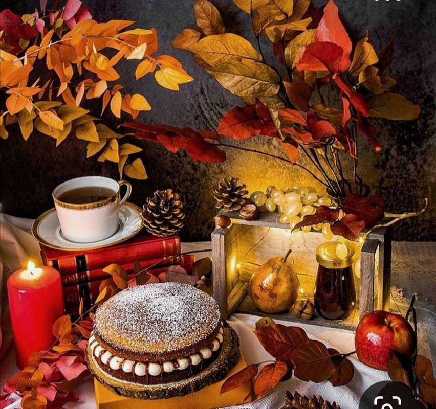 Screenshot_20231008_215710_Pinterest