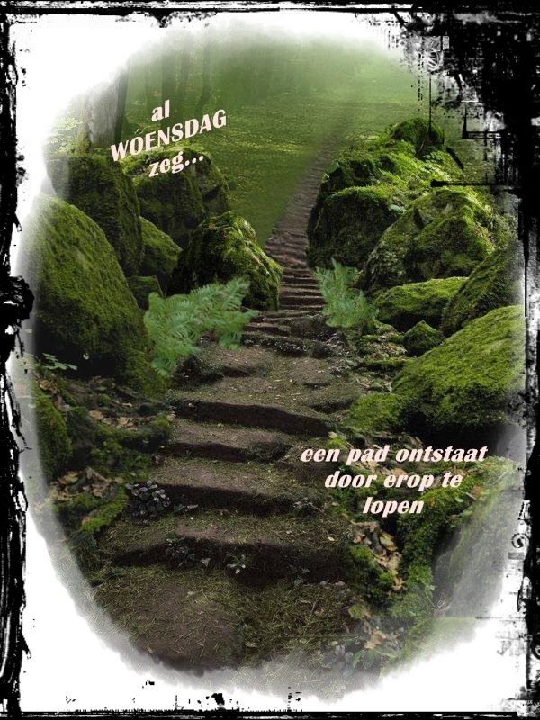 welkom opblog Bunic Jos