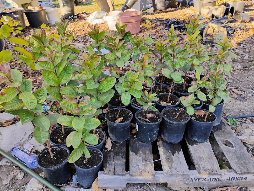 IMG_20250226_161847686_HDR_AE