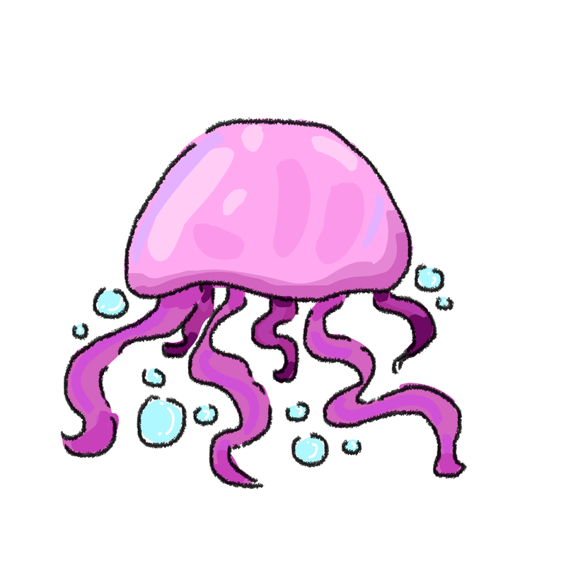 Jellyfish