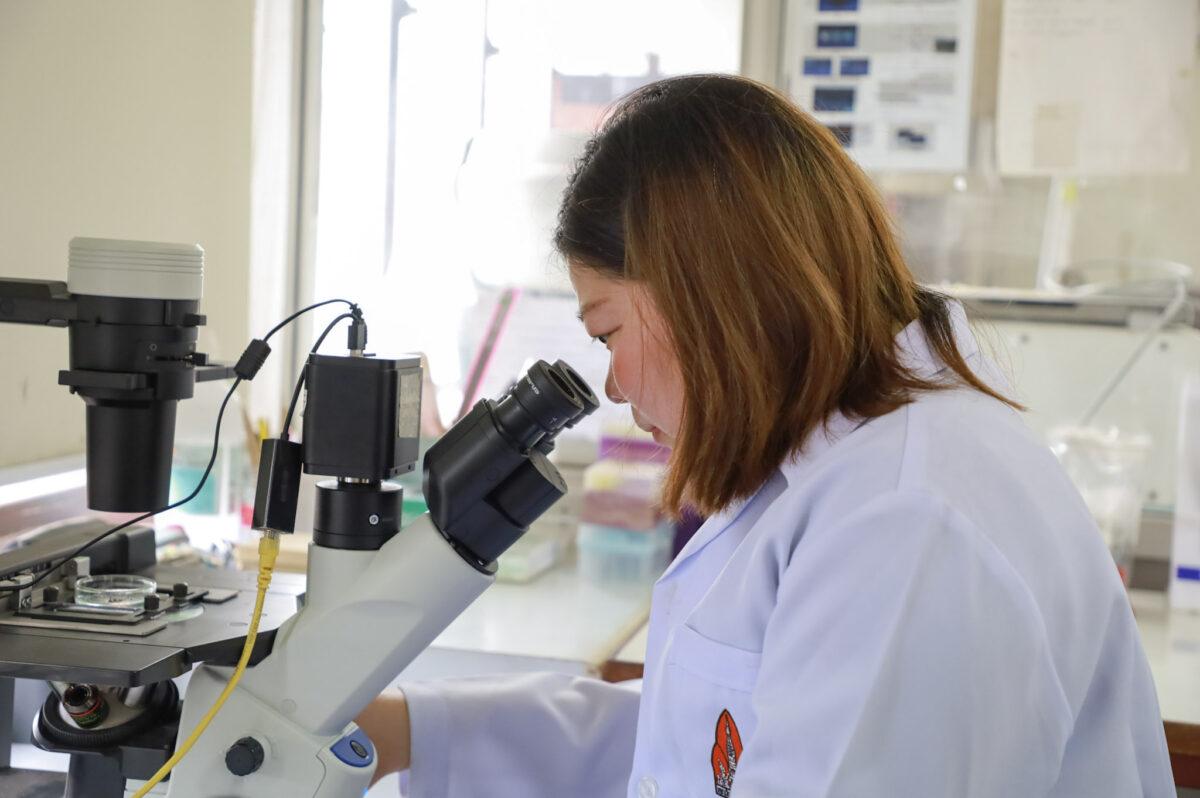 IMG-9963-1-1200x798-0