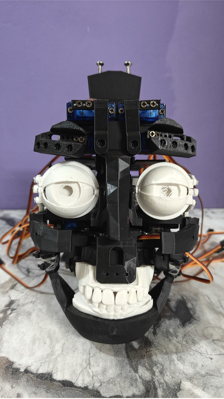 Robot Expression System 1
