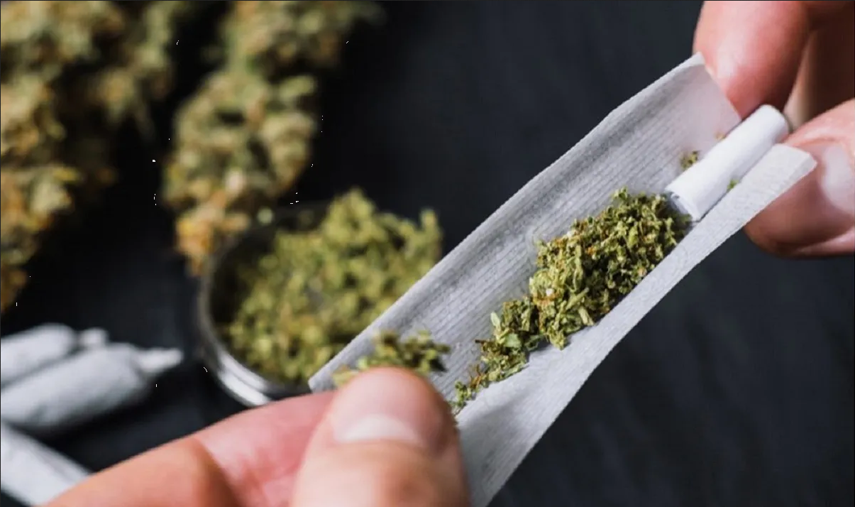 Los científicos advierten qué personas deberían evitar el consumo de marihuana