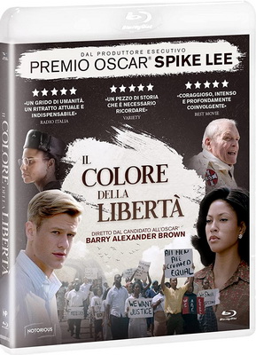 Il Colore Della Libertà (2020) .mkv iTA-ENG Bluray 720p x264 CYBER