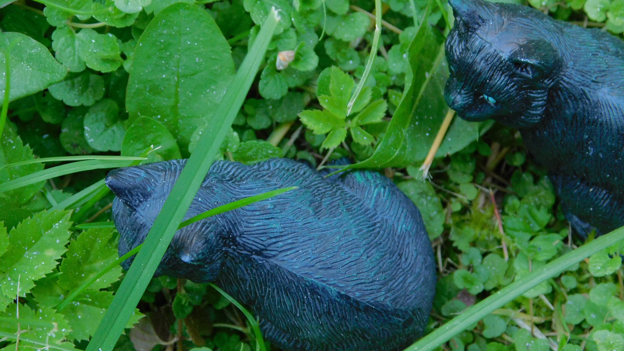 Дачное и  к Хелл сентябрь 2023 152