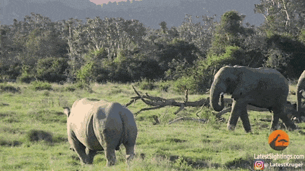 GIFs-14