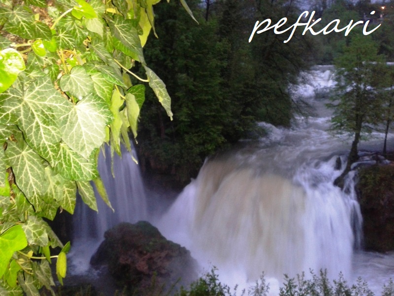 Slika