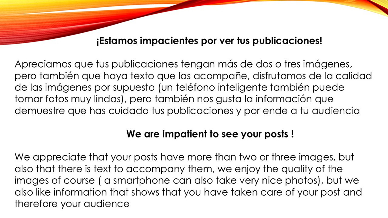 imagen-tres-de-amigos-emplumados.jpg