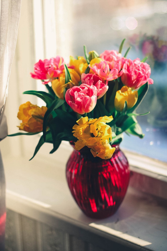 Redvasepinkflowers.jpg