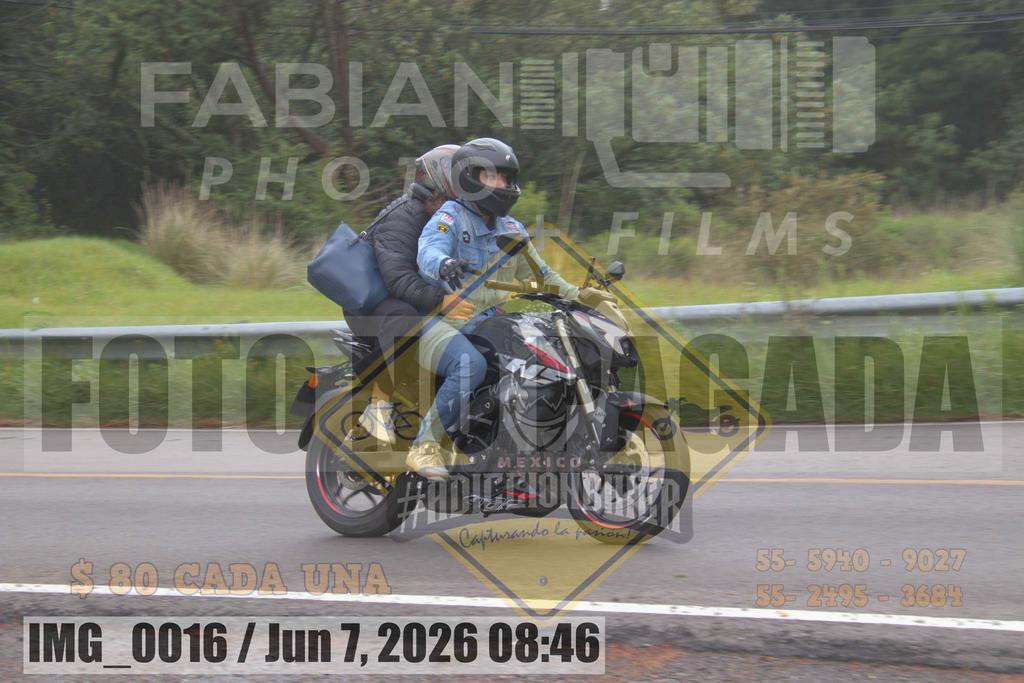 IMG 0016