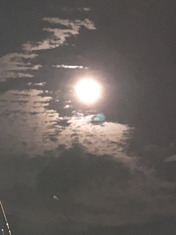 4B7C8687-CB79-4241-BAEF-D32DF23B2F39