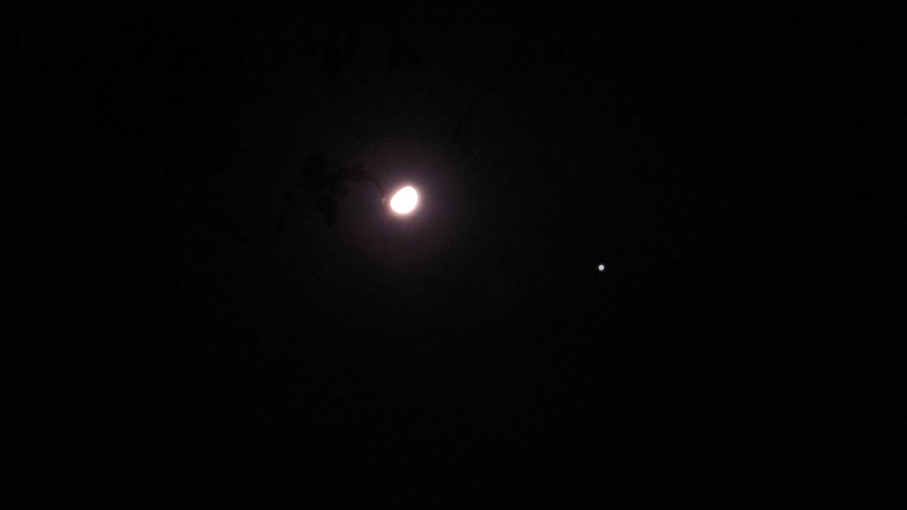 IMG-9418.jpg