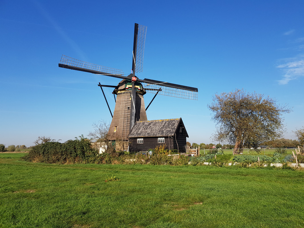 Pieter, Kleine of Lage Molen 02 Nieuw-Lekkerland (Kinderdijk) 16