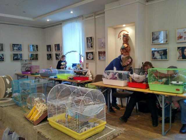 выст В 22.04.17 8